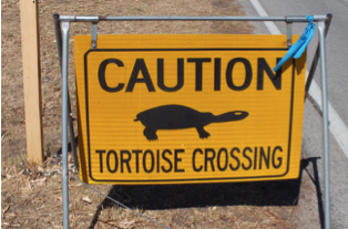 Tortoise Crossing signage
